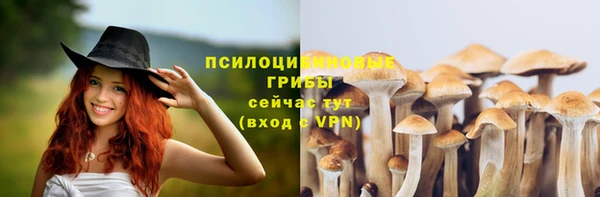 гашиш Медногорск