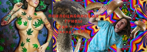 apvp Михайлов
