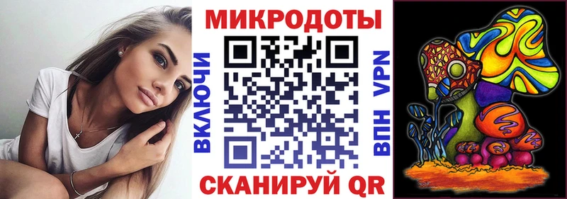 площадка как зайти  сколько стоит  Кировград  Псилоцибиновые грибы Magic Shrooms 